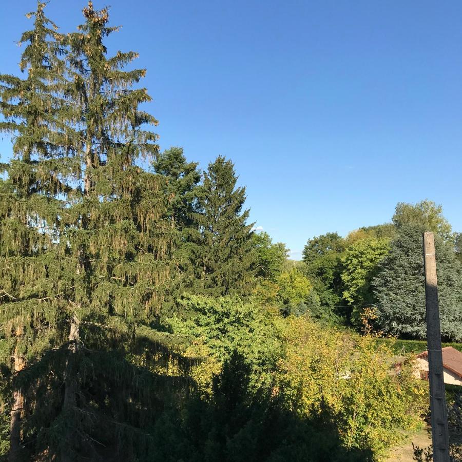 Hotel Weiss Wissembourg Exterior foto