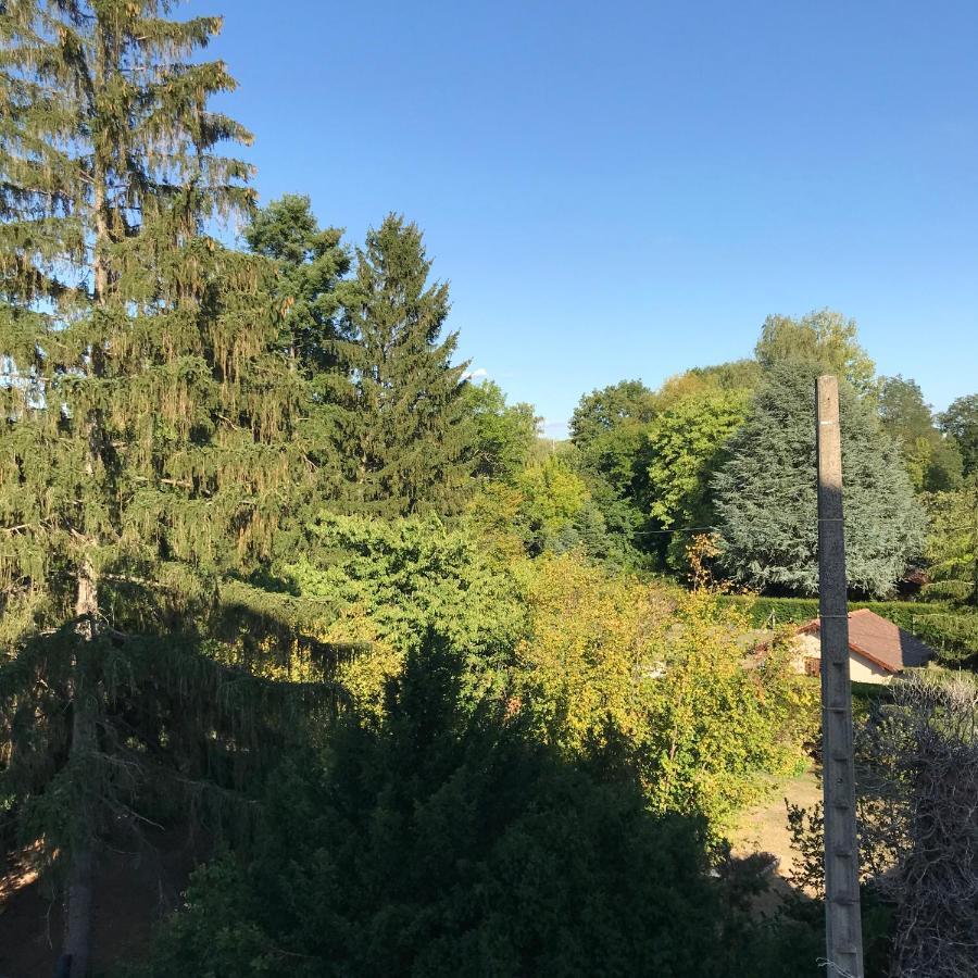 Hotel Weiss Wissembourg Exterior foto